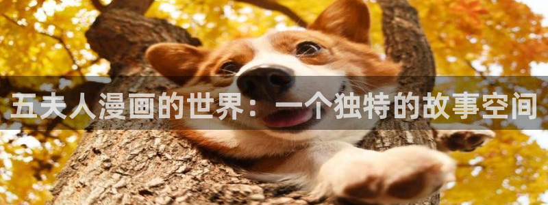 拷贝漫画2.0.4：五夫人漫画的世界：一个独特的故事空间